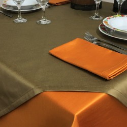 Tablecloths Satin Malè Bronze