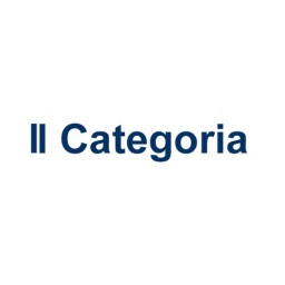 2^ Kategorie