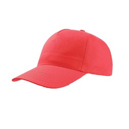 Lifeguard hats